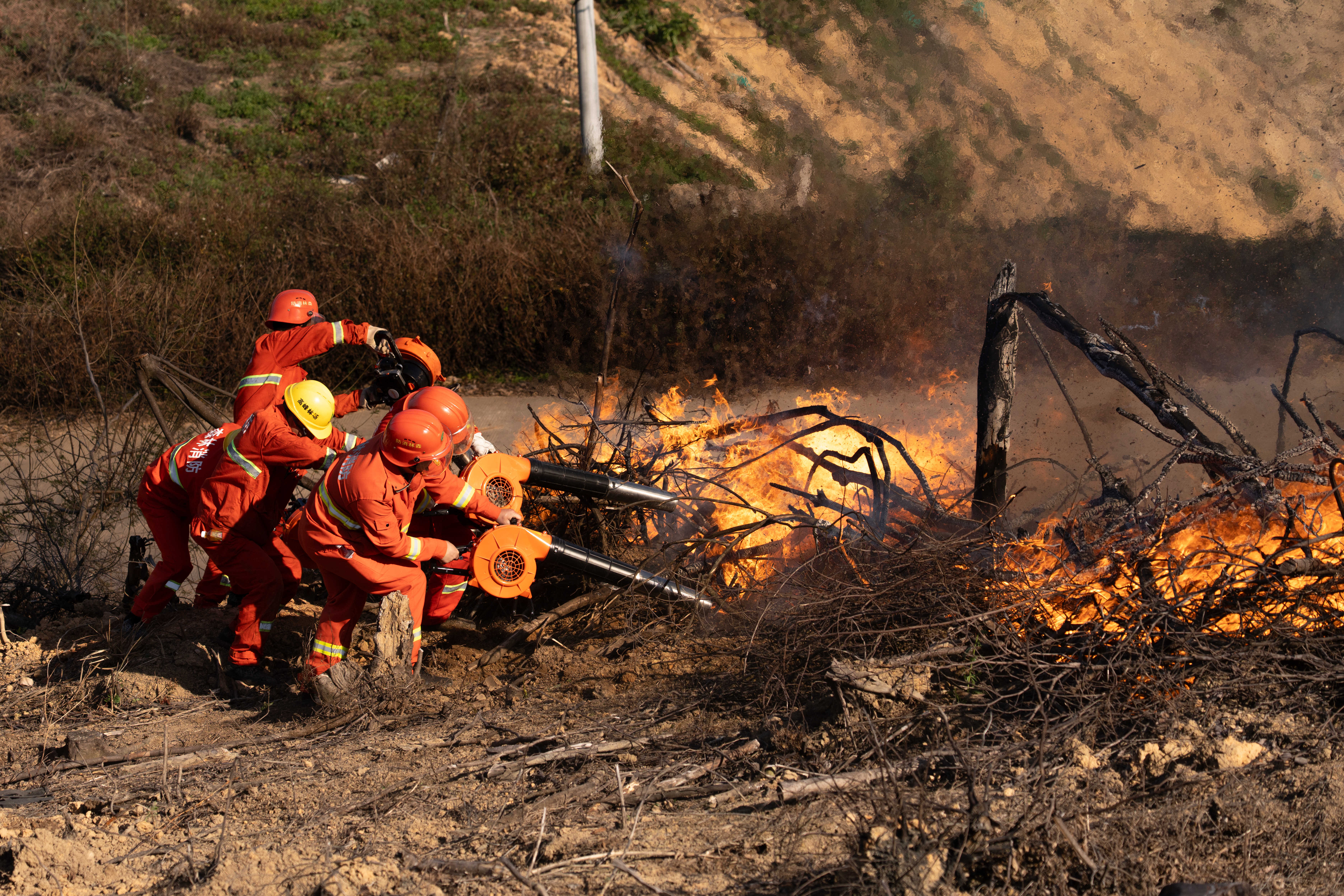 科技赋能护绿 责任扛肩防火——高峰林场“